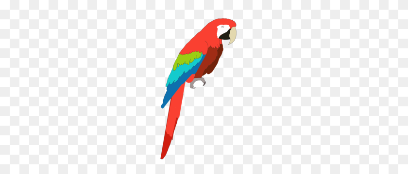 200x300 Macaw Free Images - Macaw Clipart