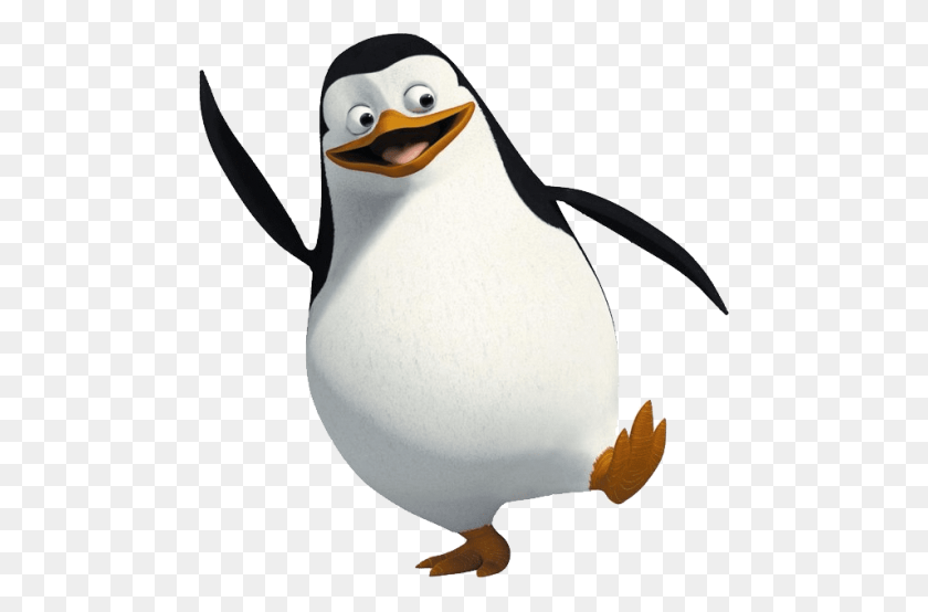 480x494 Мадагаскар Пингвин Png - Пингвин Png