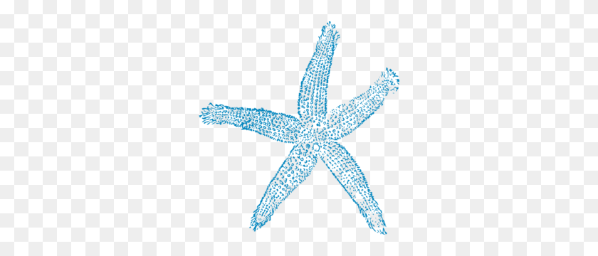 282x300 Maehr Green Starfish Clip Art - Sea Star Clipart