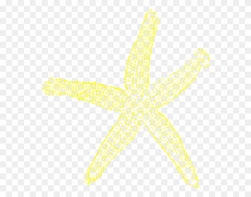 564x599 Maehr Yellow Starfish Clip Art - Starfish Clipart