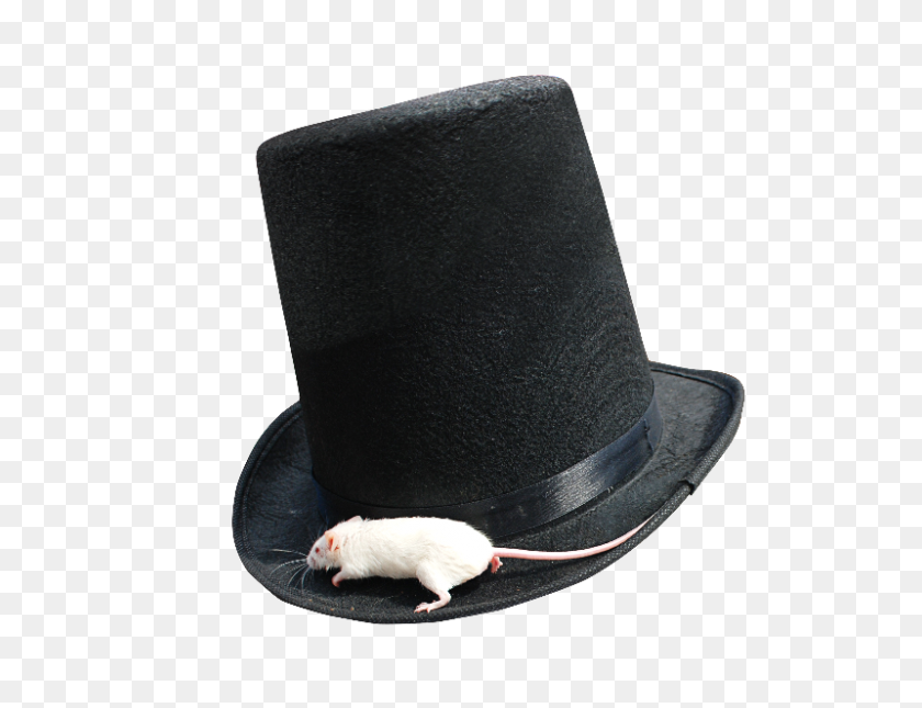 800x600 Magician Top Hat Png With White Mouse - PNG Objects