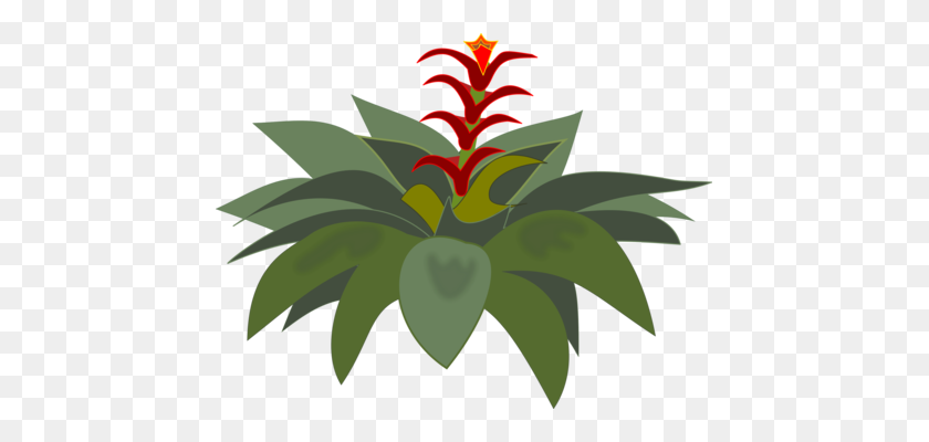 449x340 Магнолия Растения Компьютерные Иконки Цветущее Растение Бесплатно Diddl - Цветок Магнолии Клипарт