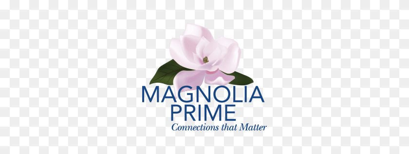 256x256 Magnolia Prime Crunchbase - Magnolia PNG