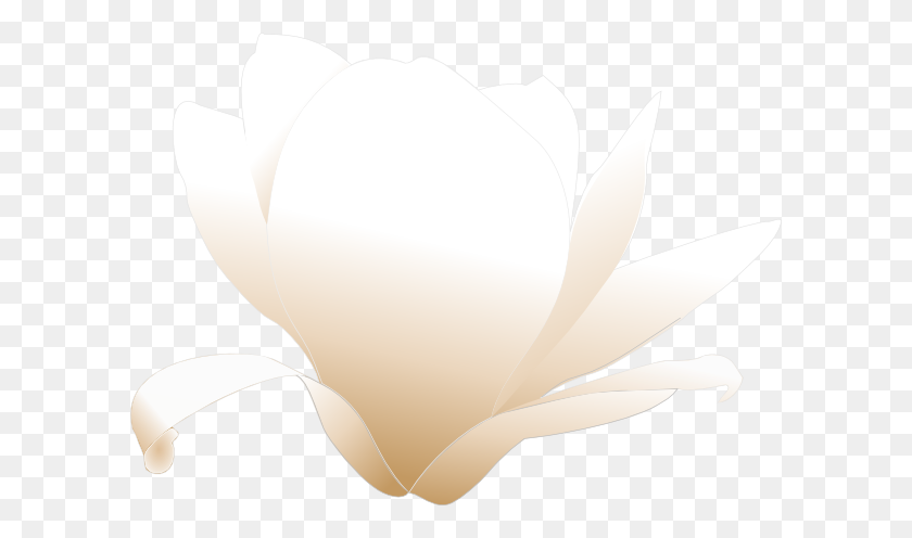 600x436 Magnolia White Clip Art - Anemone Flower Clipart