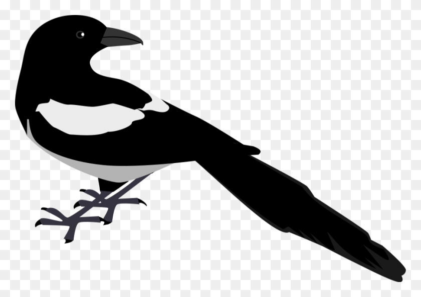 900x617 Magpie Clip Art Zeimusu Magpie Vector Clipart - Feather With Birds Clipart