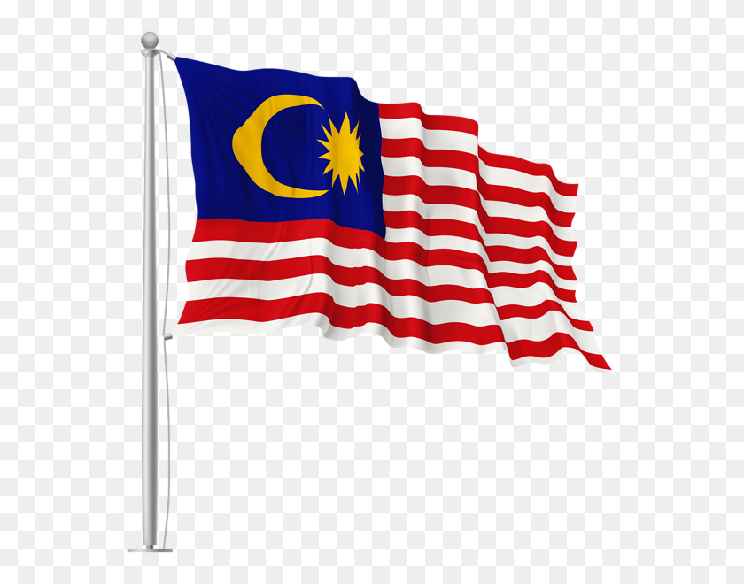 564x600 Malaysia Waving Flag Png - Flag PNG