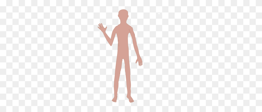 213x299 Male Body One Clip Art - Human Body Clipart