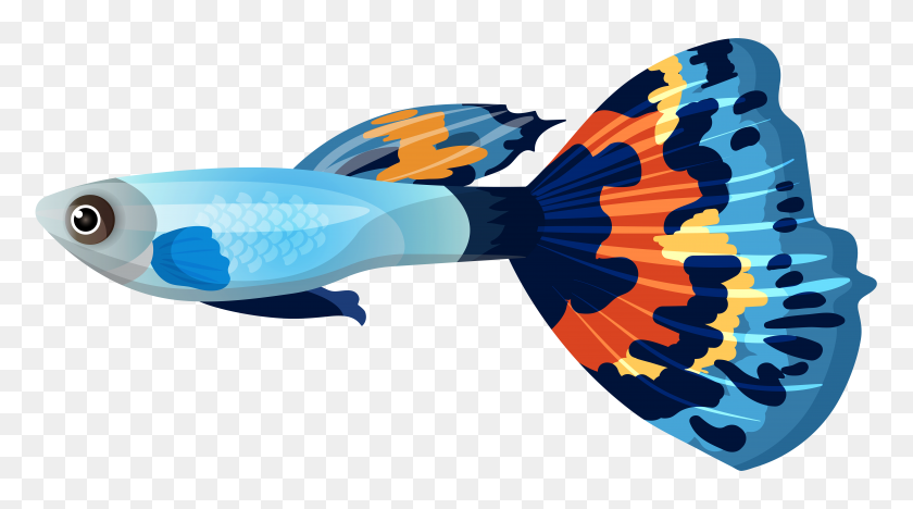 8000x4191 Самец Гуппи Рыба Png Картинки - Подводный Фон Клипарт