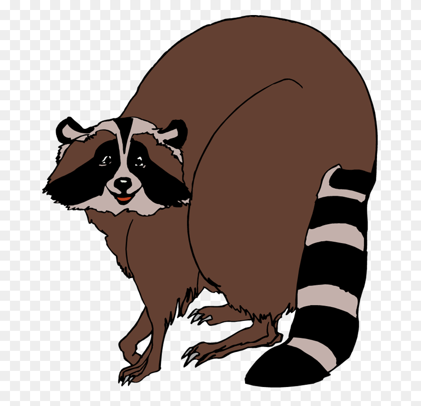 672x750 Male Raccoon Cliparts - Raccoon Clipart