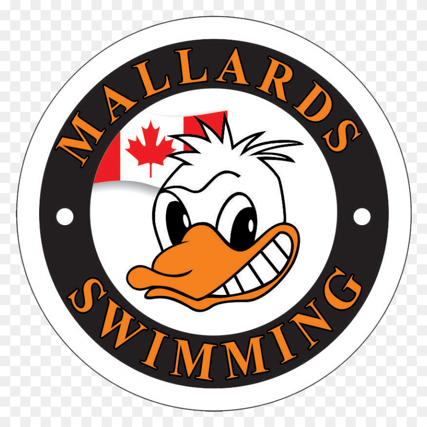 814x814 Mallards Swimming Team In Markham - Swim Team Clipart