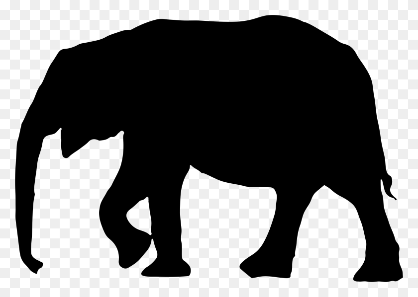 2270x1568 Млекопитающее Клипарт Элифант - Картинки Белый Слон