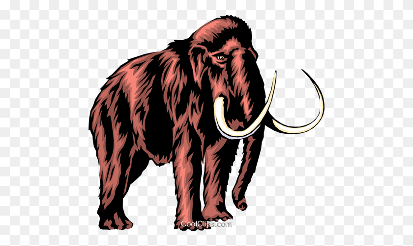 480x442 Mammoth Royalty Free Vector Clip Art Illustration - Stone Age Clipart