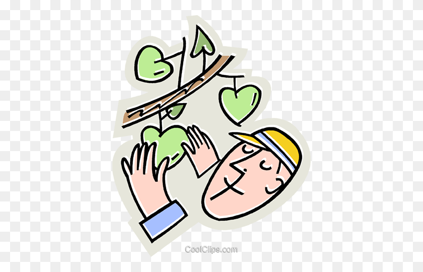 394x480 Man Picking Apples Of Off The Tree Royalty Free Vector Clip Art - Apple Picking Clipart