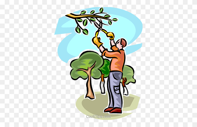 377x480 Hombre Podando Un Árbol Royalty Free Vector Clipart Illustration - Tree Branch Clipart Png