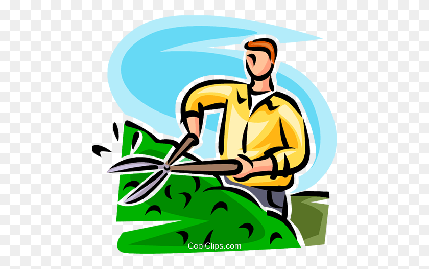 480x466 Man Trimming A Hedge Royalty Free Vector Clip Art Illustration - Hedge PNG