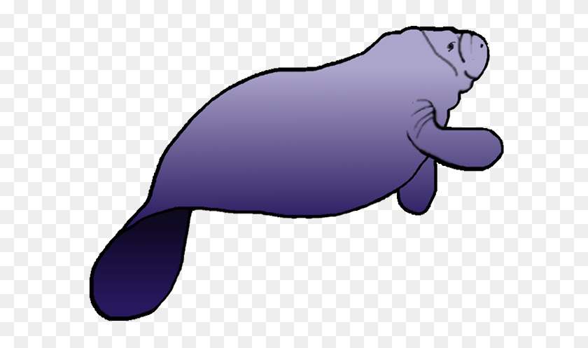 600x437 Manatee Clipart - Yes No Clipart