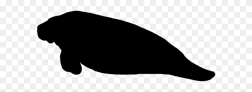 600x249 Manatee Clipart Black And White - Whale Clipart Black And White