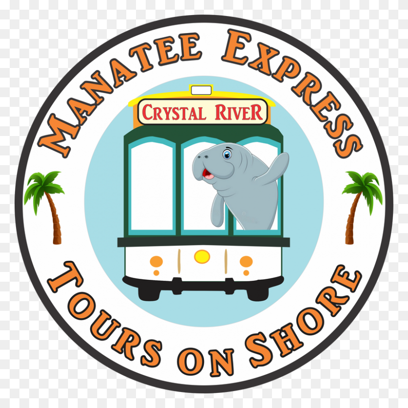 800x800 Manatee Express Tours On Shore - Manatee PNG