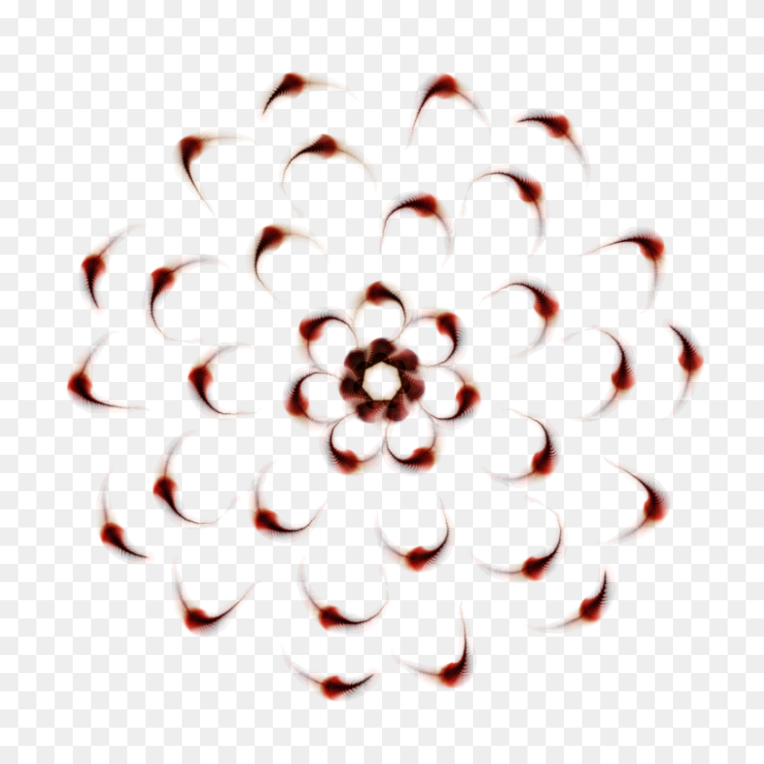 800x800 Mandala Flower Png - Mandala PNG