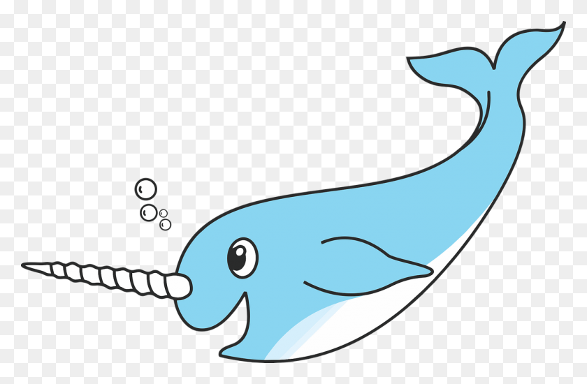 1280x805 Mandela Effect Narwhal Life In Jello - Narwhal Clipart