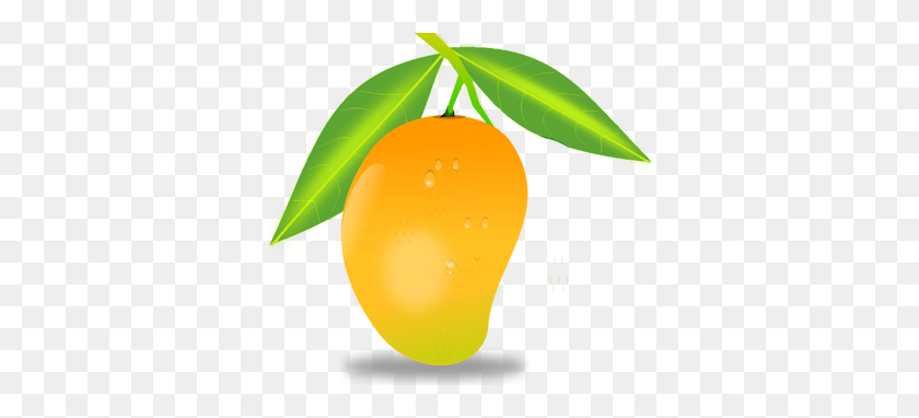 350x322 Mango Transparent Png Image Web Icons Png - Grapefruit PNG