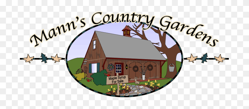 705x310 Mann's Country Gardens Gift Shop, Christmas Tree Farm, Pure Maple - Maple Syrup Clipart
