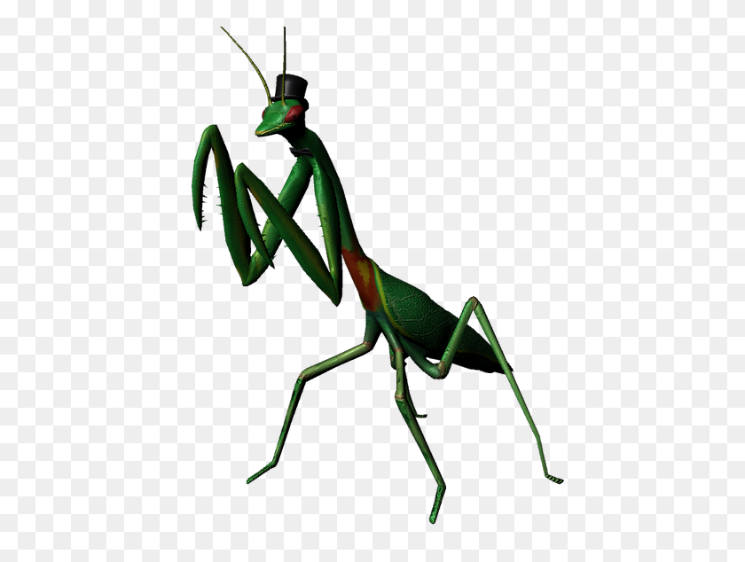 766x574 Mantis - Praying Mantis PNG