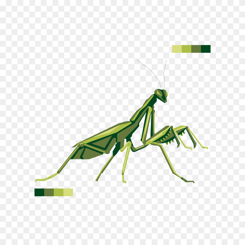 3840x3840 Mantis - Mantis PNG