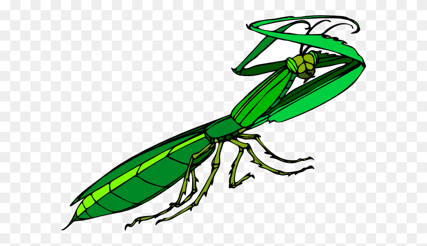 600x425 Mantis Clipart - Cricket Bug Clipart