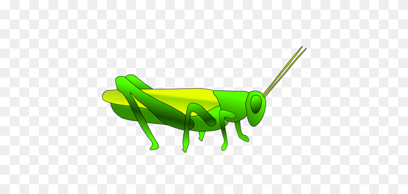 486x340 Mantis Saltamontes De Plagas De Insectos Cricket Inalámbrico - Mantis Religiosa Png