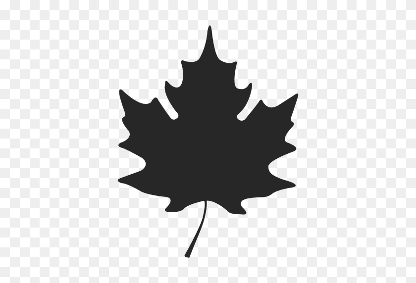 512x512 Maple Leaf - Maple Tree PNG