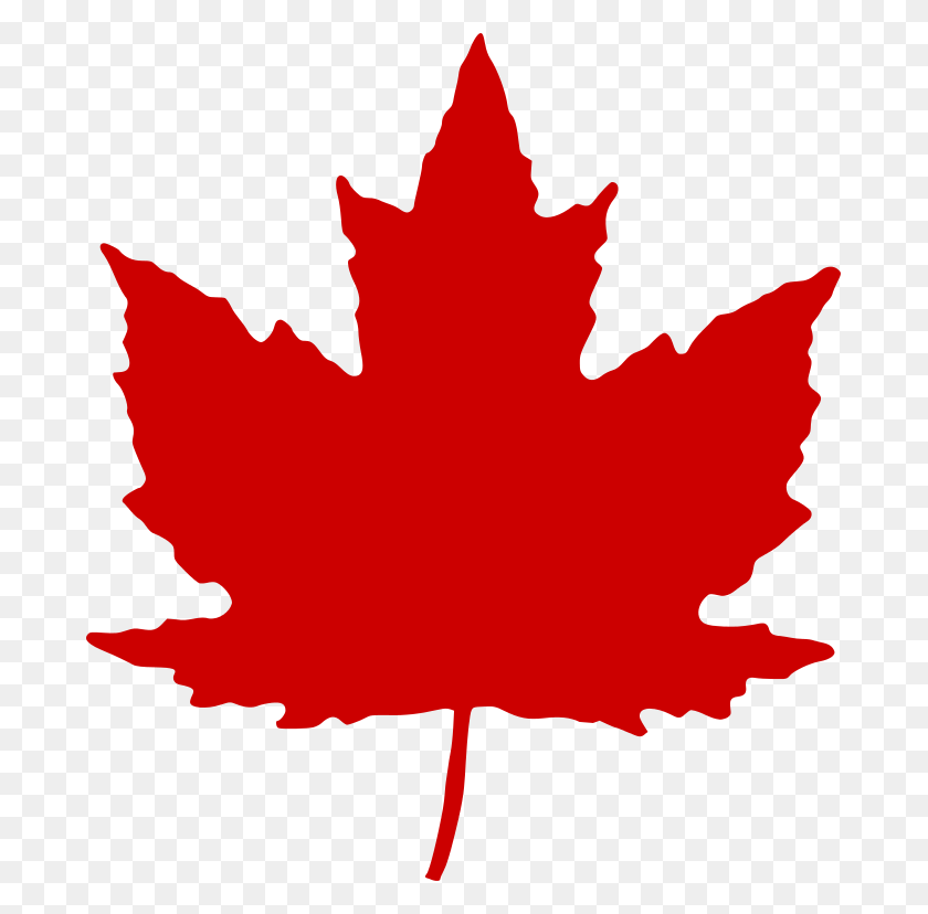 683x768 Maple Leaf - Canadian Leaf PNG