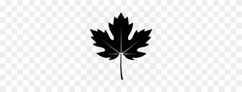 260x260 Maple Leaf Black And White Clipart - Canadian Leaf PNG