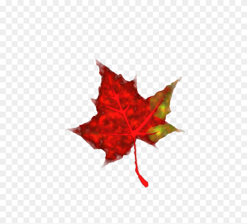 800x720 Maple Leaf Clip Art - Aspen Tree Clipart
