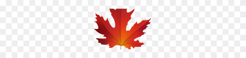 200x140 Maple Leaf Clip Art Pin Leaf Clipart Sycamore Tree Silver Maple - Silver Clipart