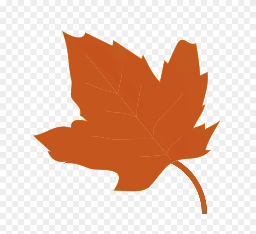 624x709 Maple Leaf Clipart Brown Maple - Maple Tree Clipart
