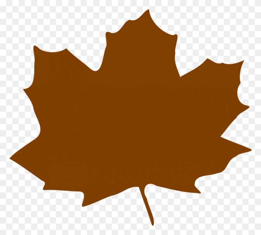 805x720 Maple Leaf Clipart Graphic - Fall Leaves Clip Art