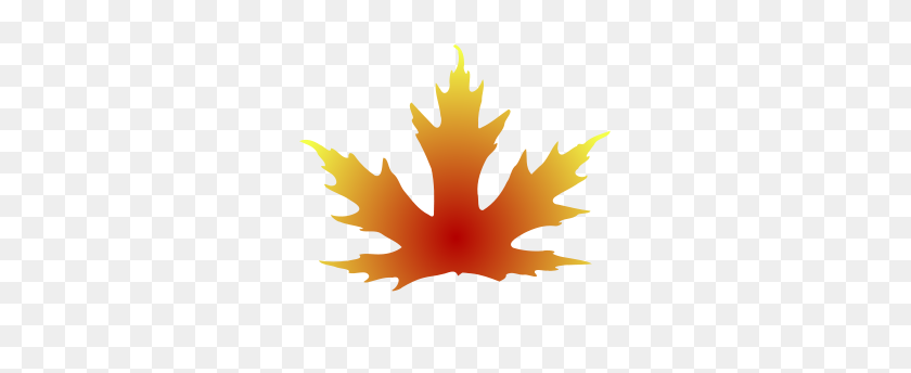 300x284 Maple Leaf Clipart Group With Items - Japanese Maple PNG