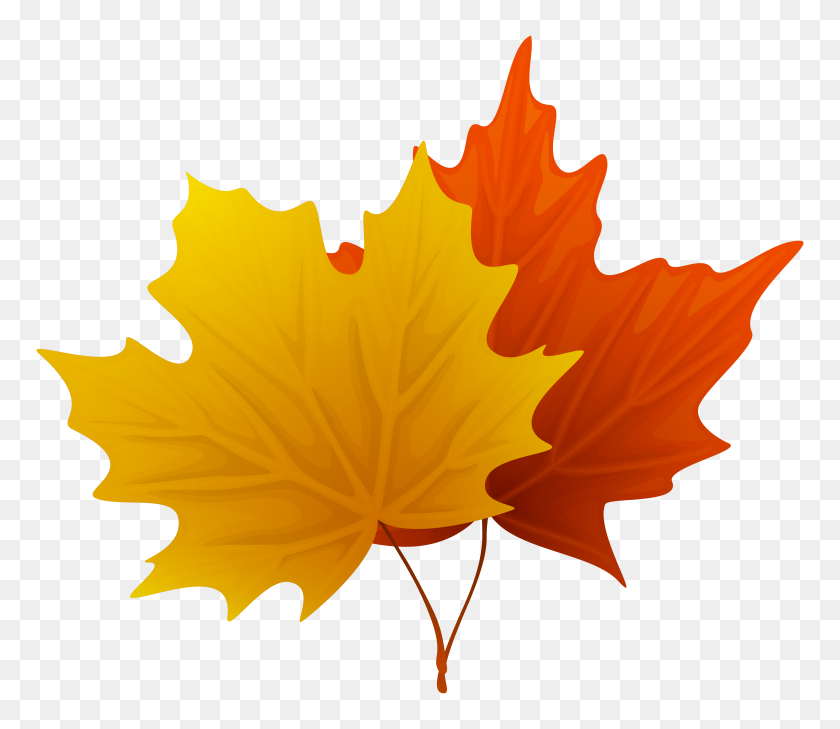 6194x5314 Maple Leaf Clipart Look At Maple Leaf Clip Art Images - Orange Leaf Clipart