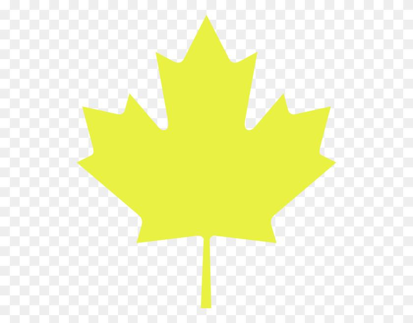 528x596 Maple Leaf Clipart Yellow - Maple Tree Clipart