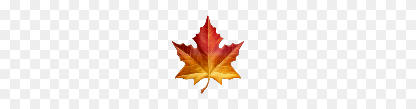 160x160 Maple Leaf Emoji On Apple Ios - Leaf Emoji PNG