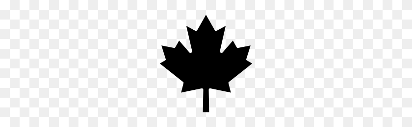 200x200 Maple Leaf Icons Noun Project - Maple Leaf PNG