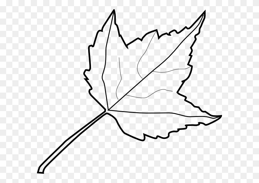 600x533 Maple Leaf Outline Clip Art - Maple Leaf Clipart Black And White