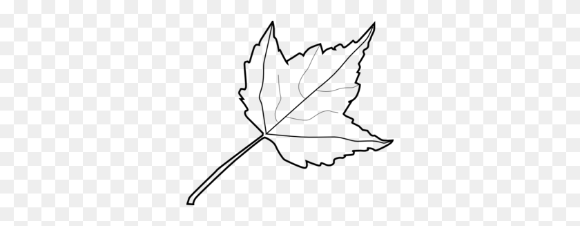 300x267 Maple Leaf Outline Clip Art - Tree Clipart Black And White No Leaves