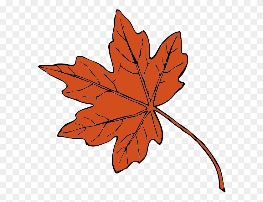 600x585 Maple Leaf Png, Clip Art For Web - Fall Leaves PNG