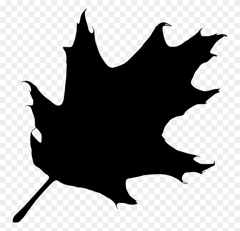 751x750 Maple Leaf Silhouette Drawing Line Art - Tree Clipart Black And White No Leaves