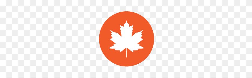 200x201 Maple Plus - Maple Syrup PNG