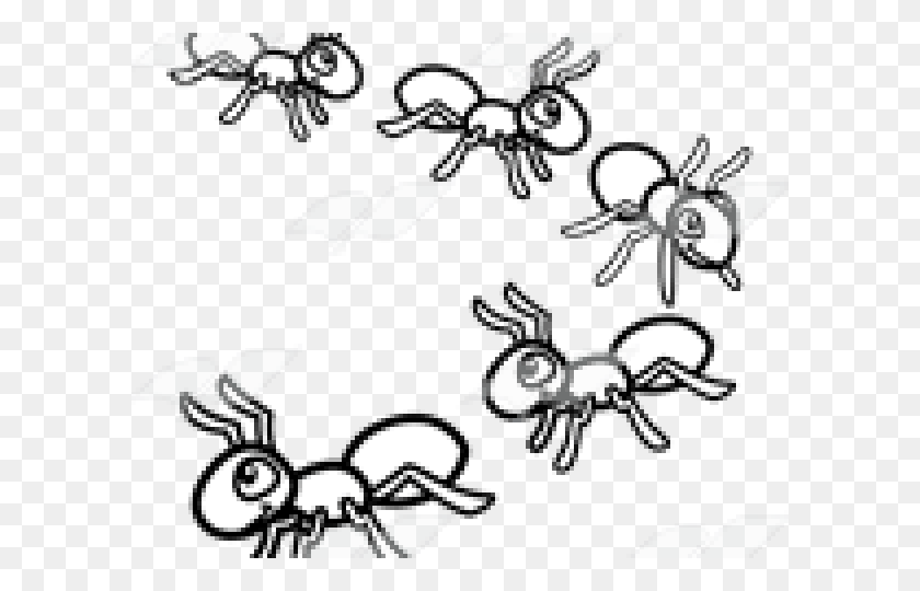 640x480 Marching Ants Cliparts - Marching Ants Clipart