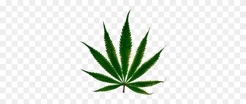 300x297 Marijuana - Weed Blunt PNG