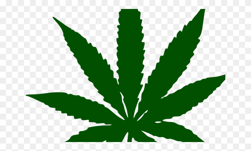 668x445 La Marihuana Tiene Muchos Buenos Beneficios Para Su Salud Integrativa - Bolsa De Hierba Png